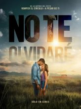 No te olvidaré