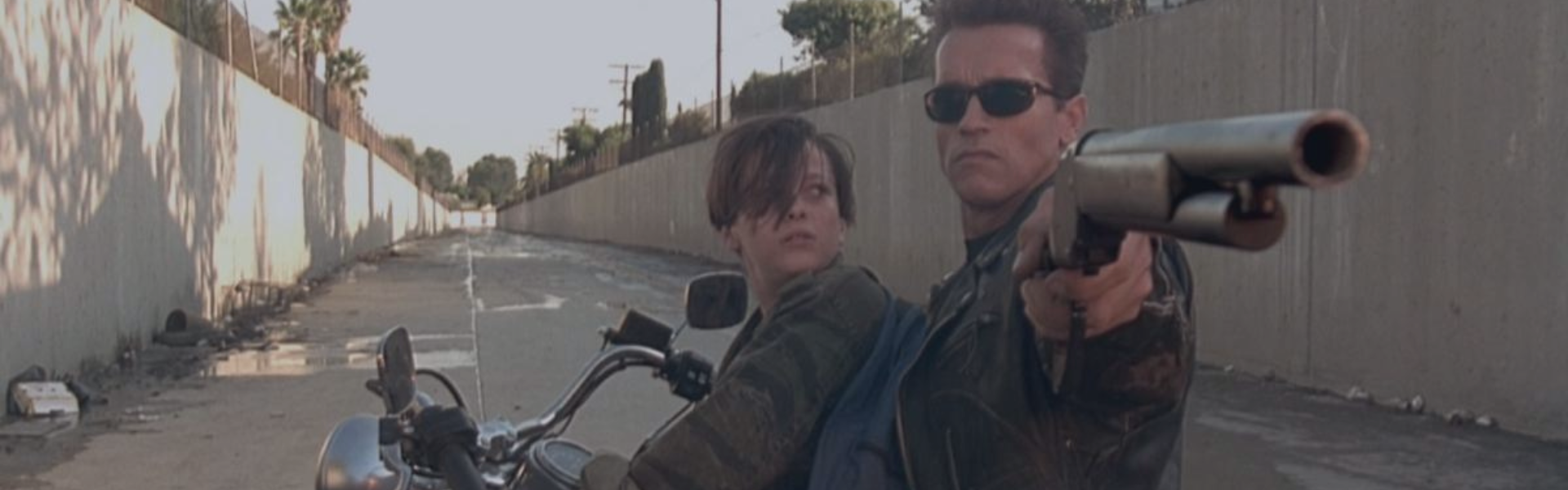 Terminator 2: El Juicio Final