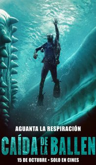 La Caida de la Ballena